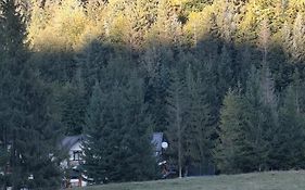 Voroneț, CASA IOANA, Bucovina!